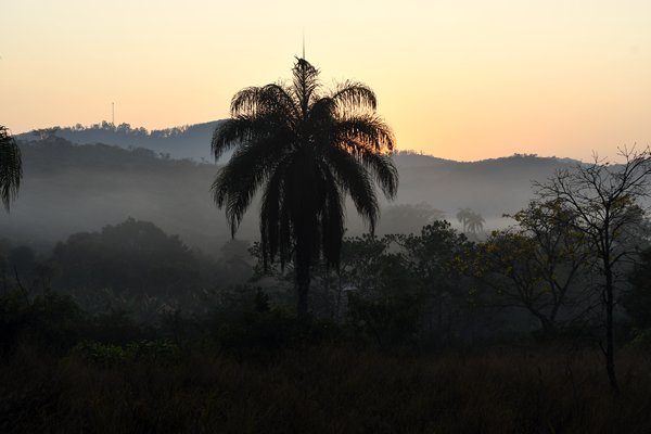 Vroege mistige ochtend in de Serra do Caraça, Brazilië