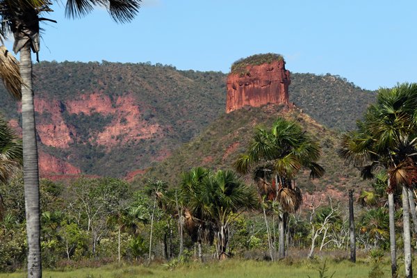 Landschap in de omgeving van Wolf Cliff Camp, Piauí, Brazilië