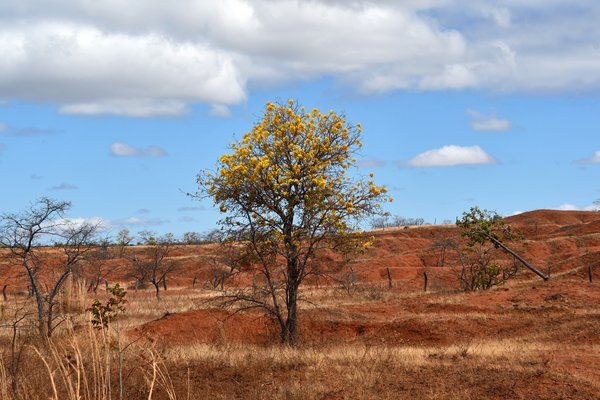 Landschap in de omgeving van Wolf Valley Camp, Piauí, Brazilië