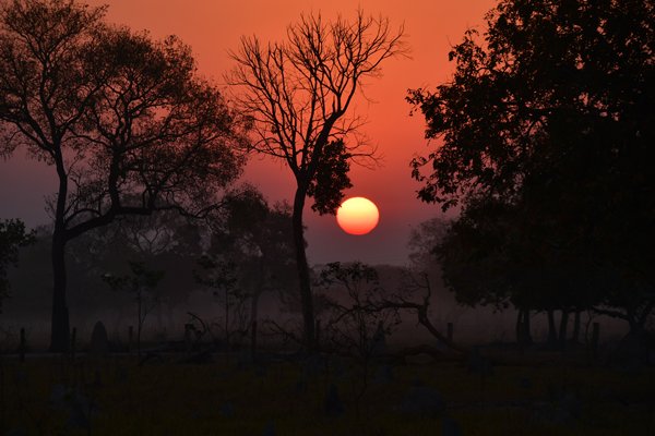 Zonsopkomst in de omgeving van de Piuval Lodge, Pantanal (Brazilië)