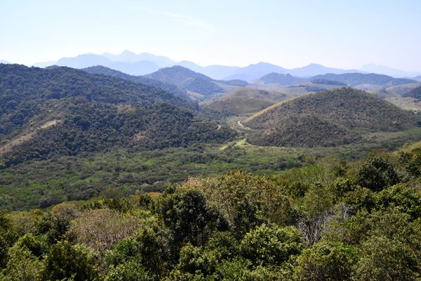 Uitzicht bij Reserva Ecológica do Mico Laeo dourado, Brazilië