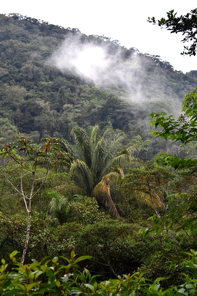 Uitzicht bij Ninho da Cambacica, omgeving Ubatuba, Brazilië