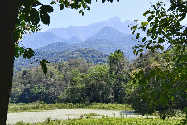 REGUA (Reserva Ecológica de Guapiaçu), Brazilië