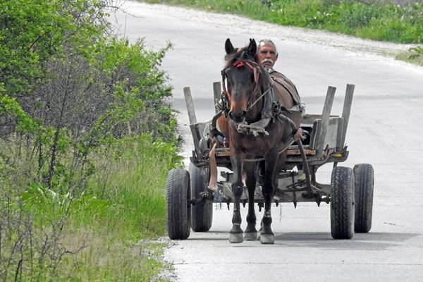 Paard en wagen onderweg naar Bukovo