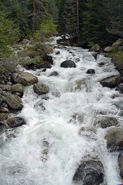 Snelstromende rivier in Pirin NP
