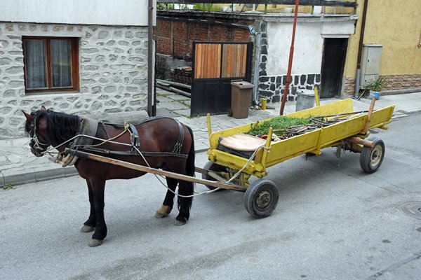 Paard en wagen bij ons hotel in Bansko
