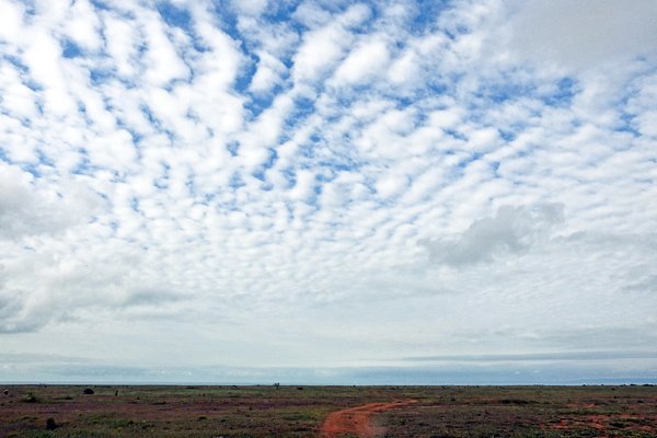 Steppe bij Kaliakra