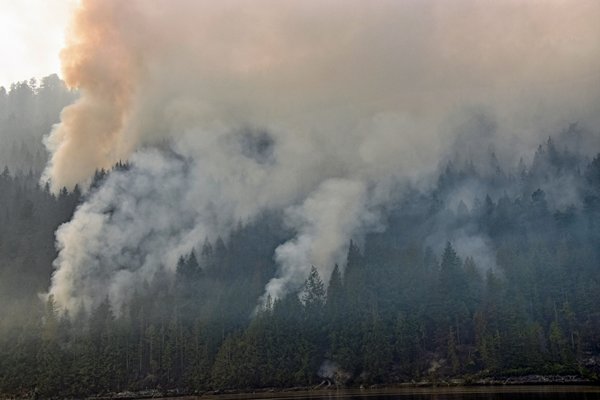 Bosbrand onderweg naar Campbell River (Canada)
