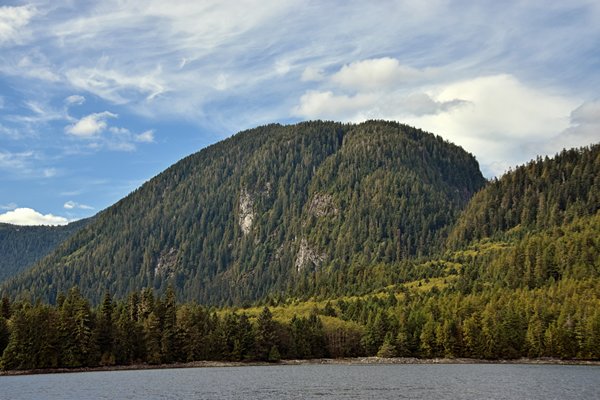 Het prachtige landschap in het Great Bear Rainforest (Canada)