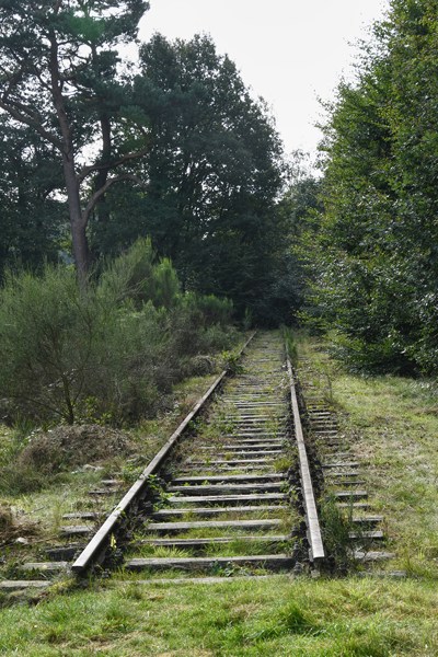 Voormalige Borkense Baan (spoorweg)