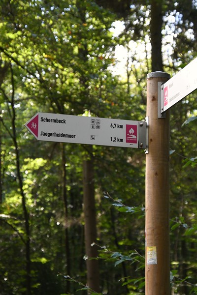 Wandelwegwijzer in Dämmerwald