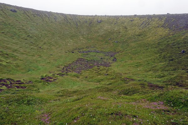 Een ondiepe begroeide krater op Reykjanes