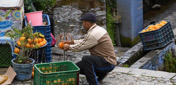 Sinaasappelverkoper in Chefchaouen, Marokko