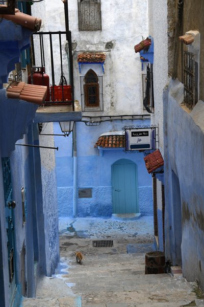 Smal straatje met trap in Chefchaouen, Marokko