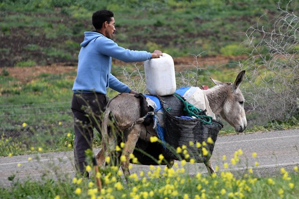 Man met ezel onderweg van Chefchaouen naar Fez, Marokko