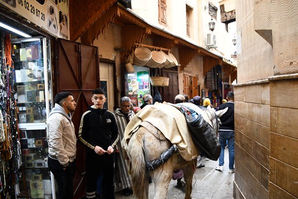 Ezel in de medina van Fez, Marokko