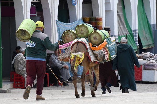 Met gastanks beladen ezel in Moulay Idriss, Marokko