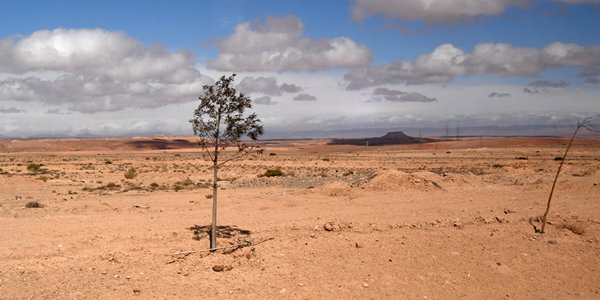 Steenwoestijn in de omgeving van Midelt, Marokko