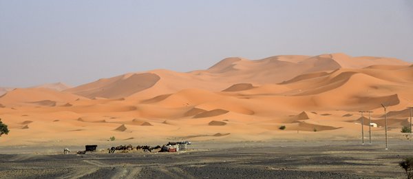 Lage zandduinen in de omgeving van Merzouga, Marokko