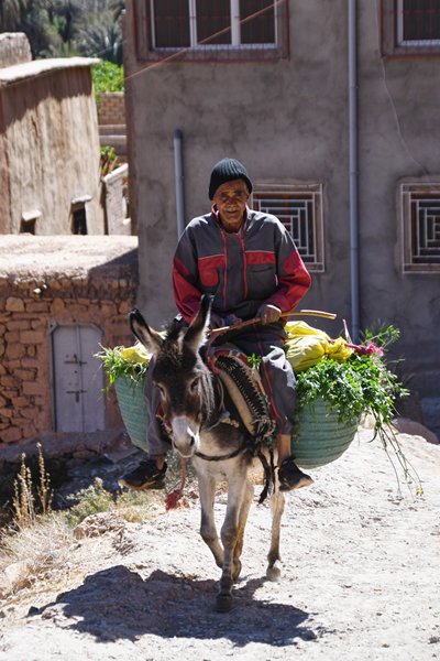 Man op ezeltje bij de ingang van de Todrakloof in Tinghir, Marokko