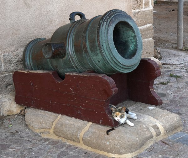 Kat bij een kanon in Essaouira, Marokko