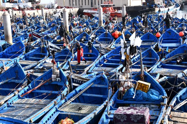 Grote kluwen blauwe boten in de haven van Essaouira, Marokko