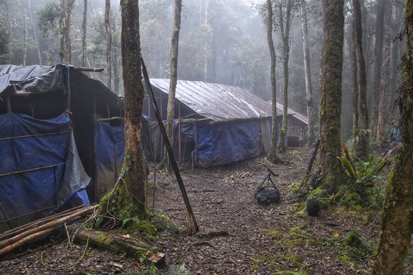 German Camp in de Arfak Mountains, Papoea