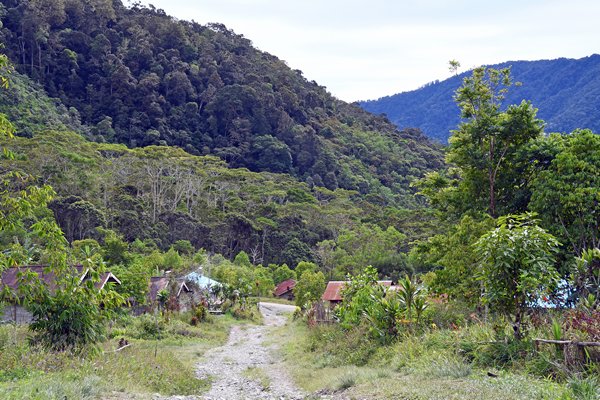 Het dorp Sioubri, Papoea