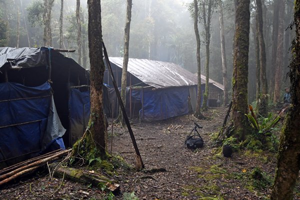 Het German Camp in de Arfak Mountains, Papoea