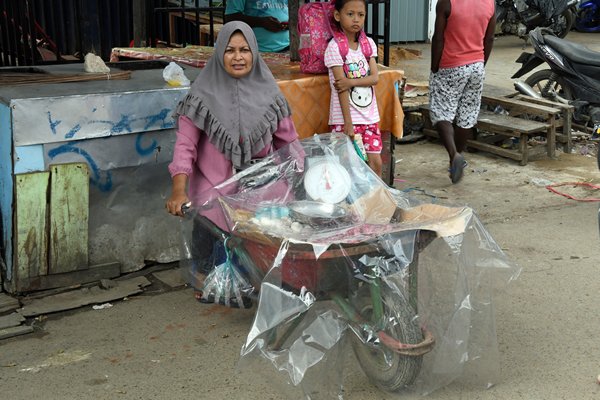 Vrouw met overdekte kruiwagen met handel op de markt van Sorong, Papoea