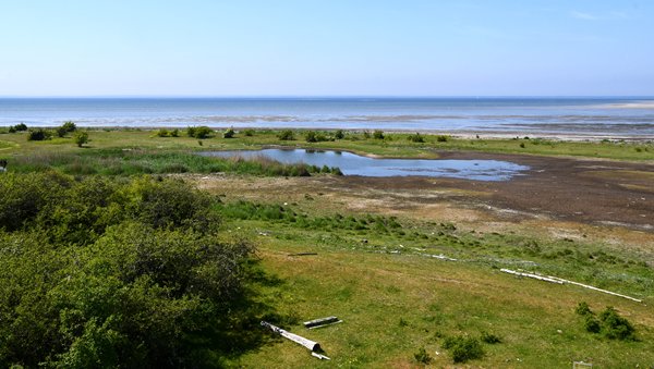 Uitzicht vanaf het vogelplatform Beijershamn op Öland, Zweden