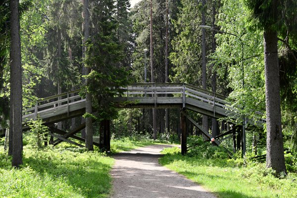 Skibrug in het stadspark (Stadsliden) van Umeå, Noord Zweden