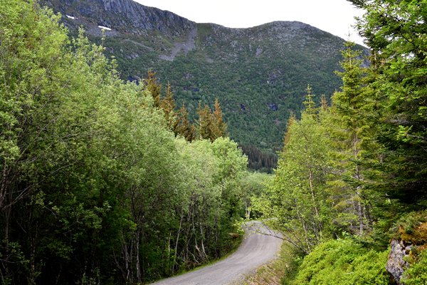 Omgeving Tjeldbergtind bij Svolvaer (Lofoten)