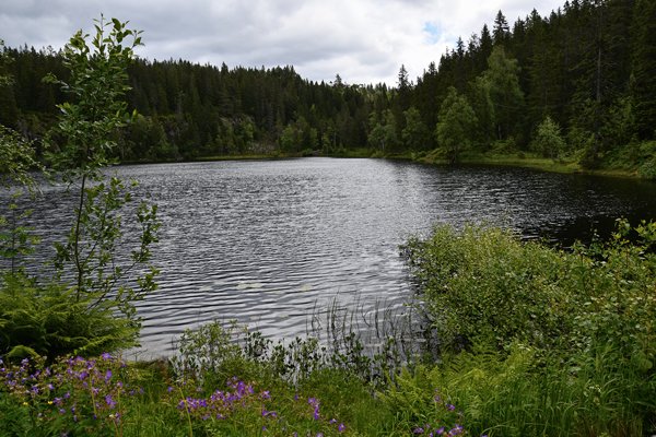 Waterplas in de Nordmarka, Oslo