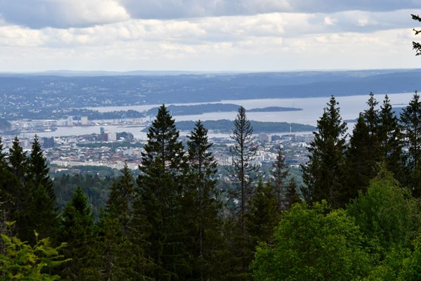 Uitzicht op Oslo vanaf Frognerseteren