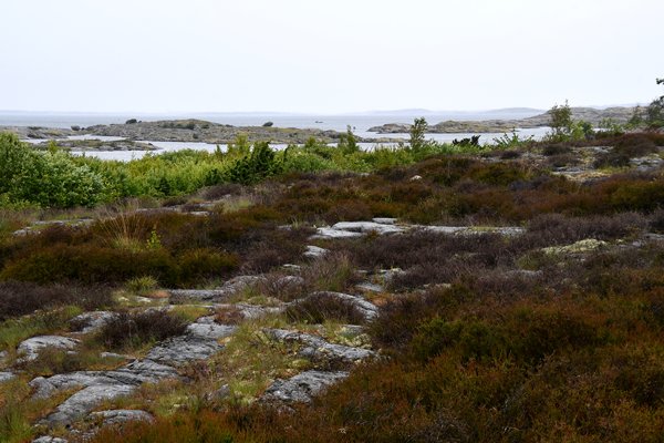 Landschap bij de overgang van Vrångö en Brännö, Zweden