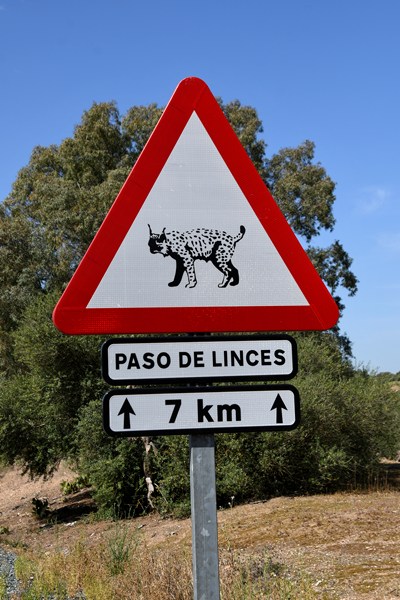 Waarschuwingsbord voor iberische lynx