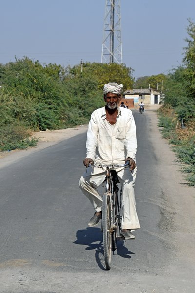 Fietser tussen Dasada en Zainabad (Gujarat, India)