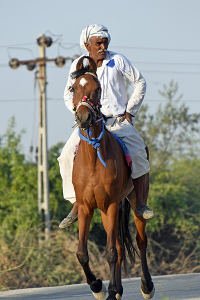 Gujarati man te paard in de omgeving van Savda (Gujarat, India)
