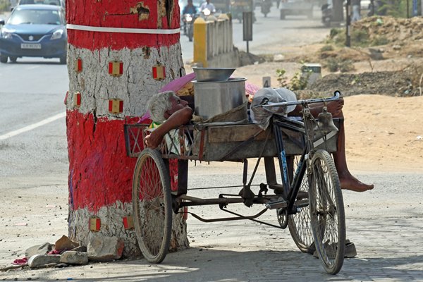 Slapende man op fiets met aanhanger (Gujarat, India)