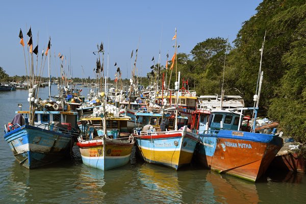 De haven van Negombo (Sri Lanka)