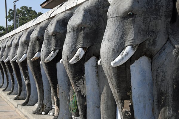 Levensgrote olifantenbeelden bij de Ruwanwelisaya dagobe in Anuradhapura (Sri Lanka)