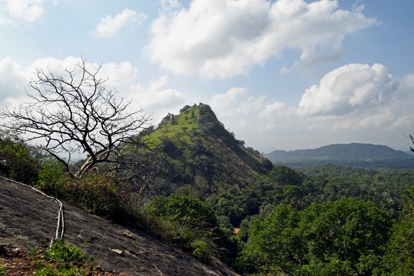 Uitzicht bij de Dambulla rotstempel (Sri Lanka)