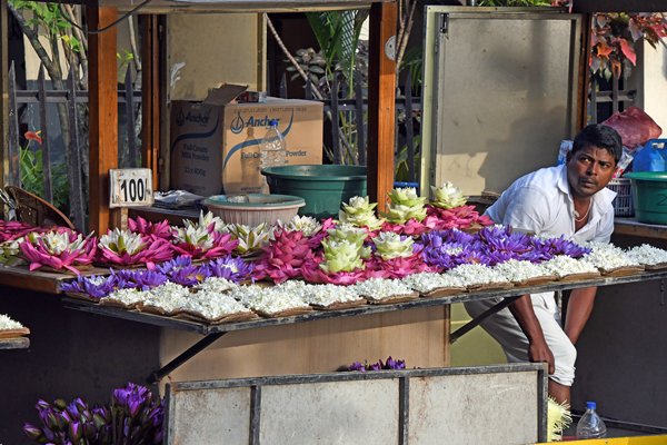 Verkoop van bloemenoffers bij de Tempel van de Tand in Kandy (Sri Lanka)