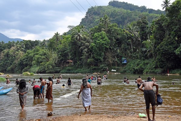 Waterpret bij de Kelani rivier (Sri Lanka)