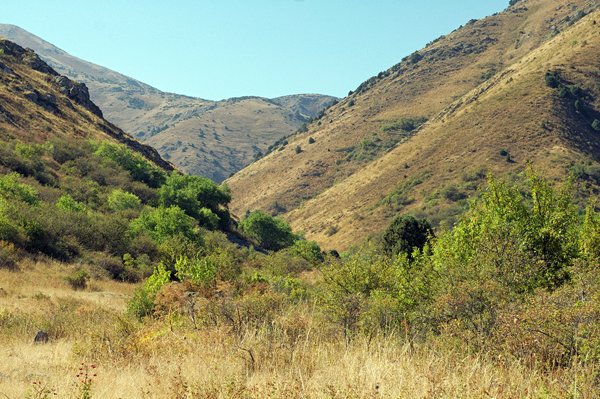 Aksu Dzhabag National Reserve.