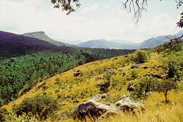 Chimanimani.