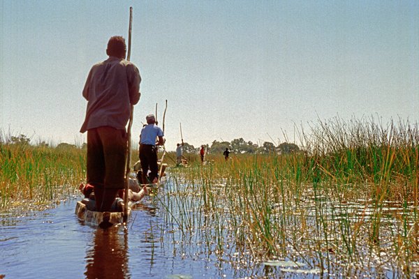 Okavango delta.