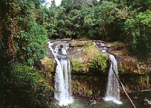 Atherton Tablelands.