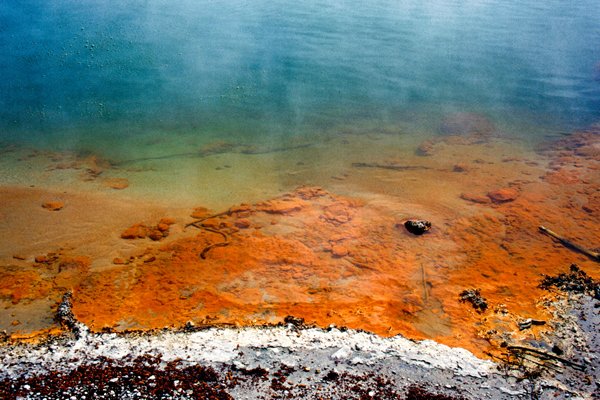 Rotorua.